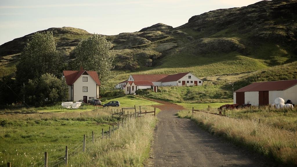 Sel Guesthouse Skálholt Eksteriør bilde
