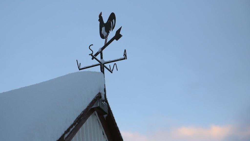 Sel Guesthouse Skálholt Eksteriør bilde
